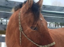 166401 178092925555117 100000632310843 469680 1677163 n