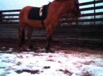 166640 180712598626483 100000632310843 487913 5628399 n