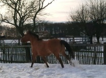 167043 179806025383807 100000632310843 482156 2985576 n