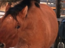 167120 179805808717162 100000632310843 482146 2442291 n