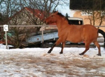 167214 179806148717128 100000632310843 482162 3311792 n