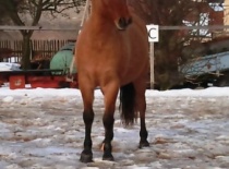 167535 179806318717111 100000632310843 482169 328101 n