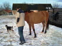 169039 179805762050500 100000632310843 482144 6830364 n