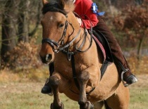 180262 185759718121771 100000632310843 516496 1501006 n