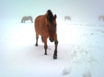 180420 188915174472892 100000632310843 533085 3142460 n