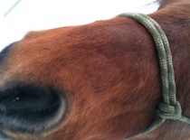 180502 188915247806218 100000632310843 533087 1208413 n