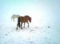 181763 188915421139534 100000632310843 533093 2809423 n