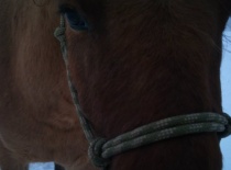 182007 188915297806213 100000632310843 533089 1923789 n