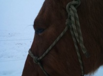 182038 188915324472877 100000632310843 533090 1788767 n