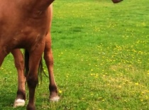 216317 205587722805637 100000632310843 635529 435886 n