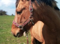 223210 205587302805679 100000632310843 635506 7942845 n