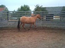 76677 165664446797965 100000632310843 380570 8001978 n