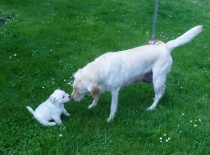 Ještě s mámou R.I.P. :-(