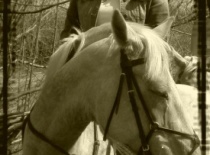 196934 164723106914507 100001304578573 333629 3932031 n