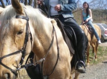 199983 164723186914499 100001304578573 333631 7480011 n