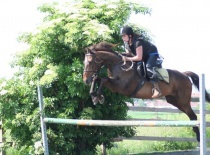 226573 174872865899531 100001304578573 393823 5824351 n