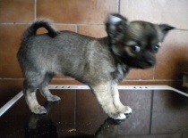 Alba Barrande - doufám, že stojím rovně...