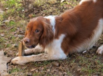 " Já nic, já muzikant.. " :-)