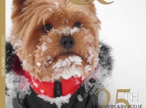 3b2ea74f96ee03483e8a09d69d3e5 8501