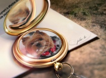 40d8757b ecd6 4893 9815 dcc860752401