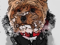 8def7fc6 bf51 4baf 91c0 6a4d324c0821