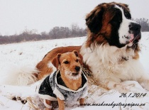 [field_gallery-nid]_[filefield-onlyname-original].[filefield-extension-original]