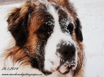 [field_gallery-nid]_[filefield-onlyname-original].[filefield-extension-original]