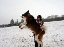 [field_gallery-nid]_[filefield-onlyname-original].[filefield-extension-original]