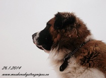 [field_gallery-nid]_[filefield-onlyname-original].[filefield-extension-original]