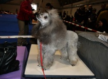 [field_gallery-nid]_[filefield-onlyname-original].[filefield-extension-original]