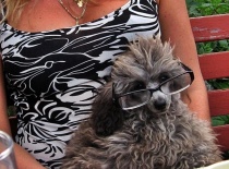 [field_gallery-nid]_[filefield-onlyname-original].[filefield-extension-original]