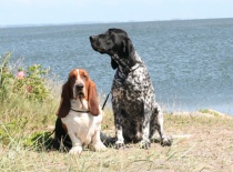 [field_gallery-nid]_[filefield-onlyname-original].[filefield-extension-original]