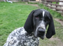 [field_gallery-nid]_[filefield-onlyname-original].[filefield-extension-original]