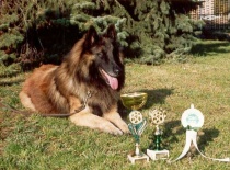 [field_gallery-nid]_[filefield-onlyname-original].[filefield-extension-original]