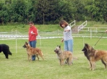 [field_gallery-nid]_[filefield-onlyname-original].[filefield-extension-original]