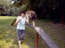 [field_gallery-nid]_[filefield-onlyname-original].[filefield-extension-original]