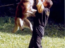 [field_gallery-nid]_[filefield-onlyname-original].[filefield-extension-original]