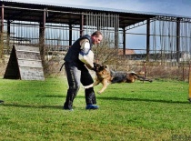 [field_gallery-nid]_[filefield-onlyname-original].[filefield-extension-original]