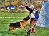 [field_gallery-nid]_[filefield-onlyname-original].[filefield-extension-original]