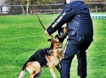 [field_gallery-nid]_[filefield-onlyname-original].[filefield-extension-original]