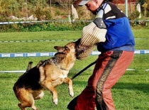 [field_gallery-nid]_[filefield-onlyname-original].[filefield-extension-original]