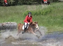 [field_gallery-nid]_[filefield-onlyname-original].[filefield-extension-original]