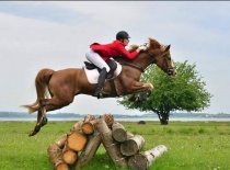 [field_gallery-nid]_[filefield-onlyname-original].[filefield-extension-original]