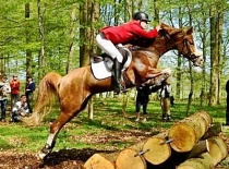 [field_gallery-nid]_[filefield-onlyname-original].[filefield-extension-original]