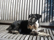 [field_gallery-nid]_[filefield-onlyname-original].[filefield-extension-original]