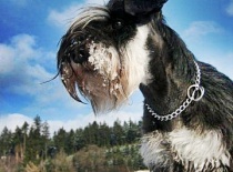 [field_gallery-nid]_[filefield-onlyname-original].[filefield-extension-original]