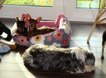 [field_gallery-nid]_[filefield-onlyname-original].[filefield-extension-original]