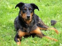 [field_gallery-nid]_[filefield-onlyname-original].[filefield-extension-original]