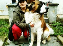 [field_gallery-nid]_[filefield-onlyname-original].[filefield-extension-original]