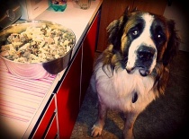 [field_gallery-nid]_[filefield-onlyname-original].[filefield-extension-original]